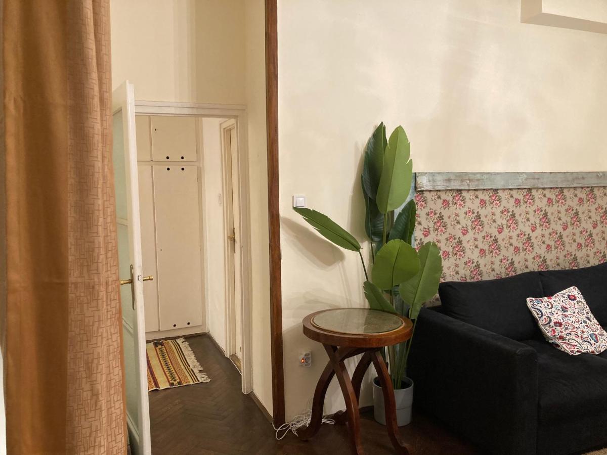 Lovely Cosy Art Flat At Center Budapest